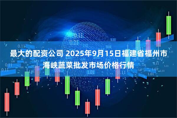最大的配资公司 2025年9月15日福建省福州市海峡蔬菜批发市场价格行情