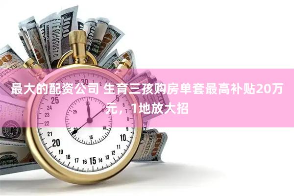 最大的配资公司 生育三孩购房单套最高补贴20万元,1地放大招