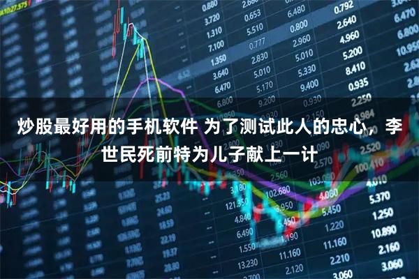炒股最好用的手机软件 为了测试此人的忠心，李世民死前特为儿子献上一计